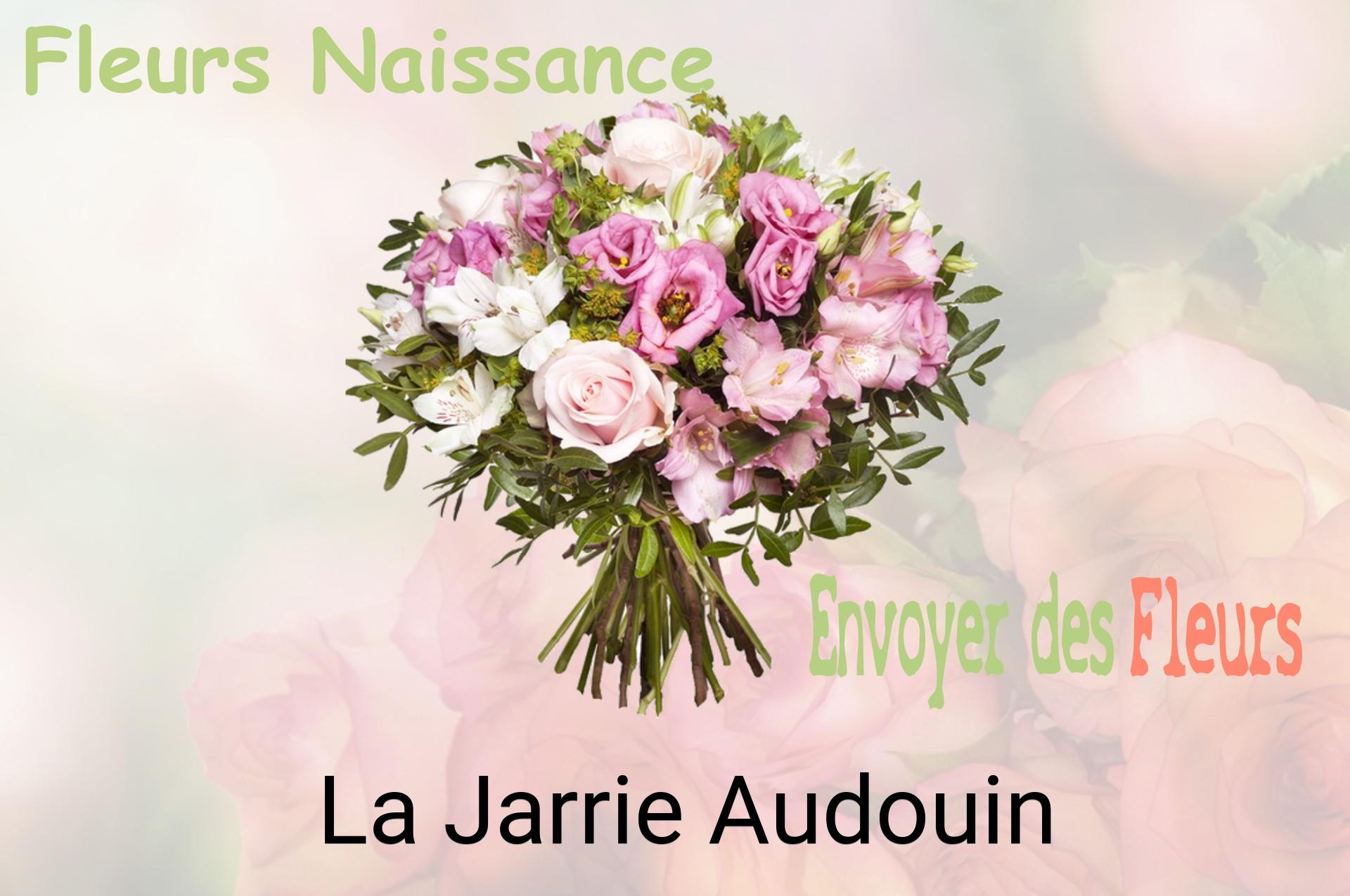 Bouquet de fleurs de naissance livré à La Jarrie-Audouin
